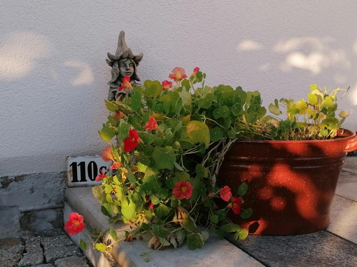 Kaethes Sommerhaus Schöna エクステリア 写真